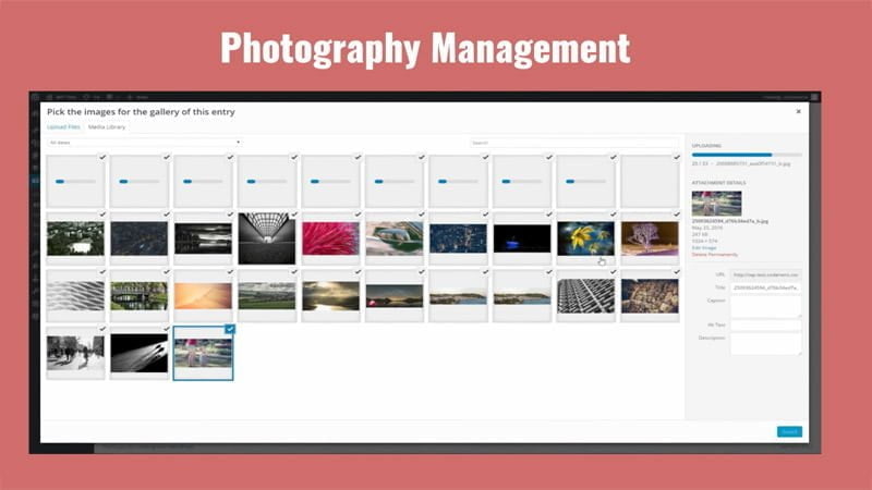 Photo Management