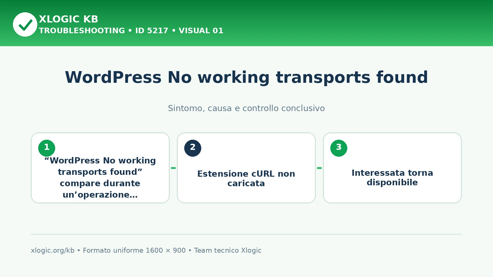 WordPress No working transports found