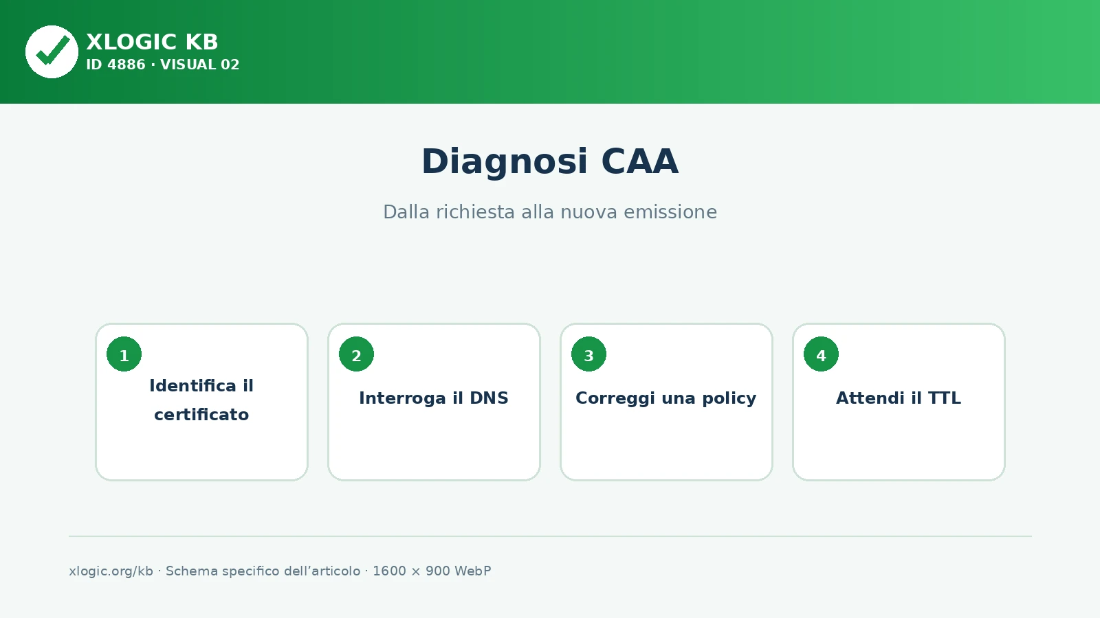 diagnosi caa: dalla richiesta alla nuova emissione